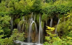 Don’t miss the discount on tickets to Plitvice Lakes National…